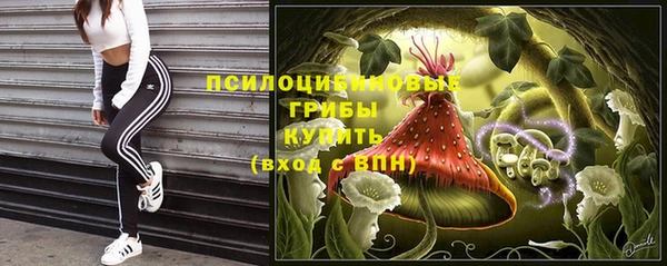 дживик Алзамай