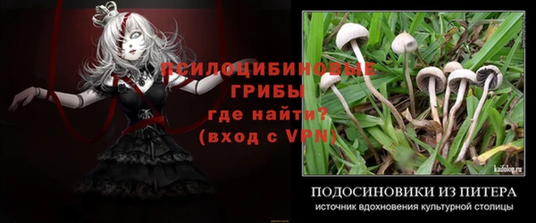 дживик Алзамай